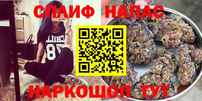 индика Уссурийск